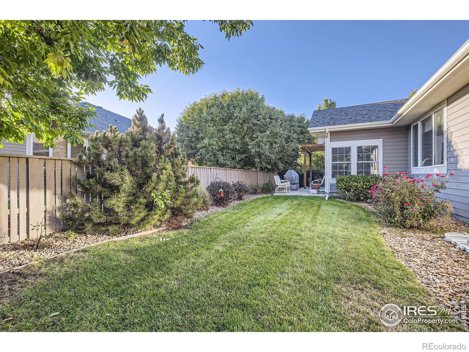 MLS Image #9 for 1526  grant drive,longmont, Colorado