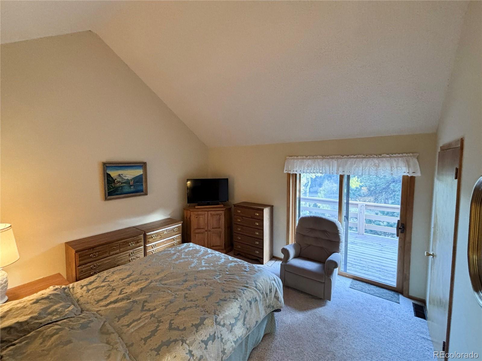 MLS Image #18 for 18260  alta vista drive,buena vista, Colorado