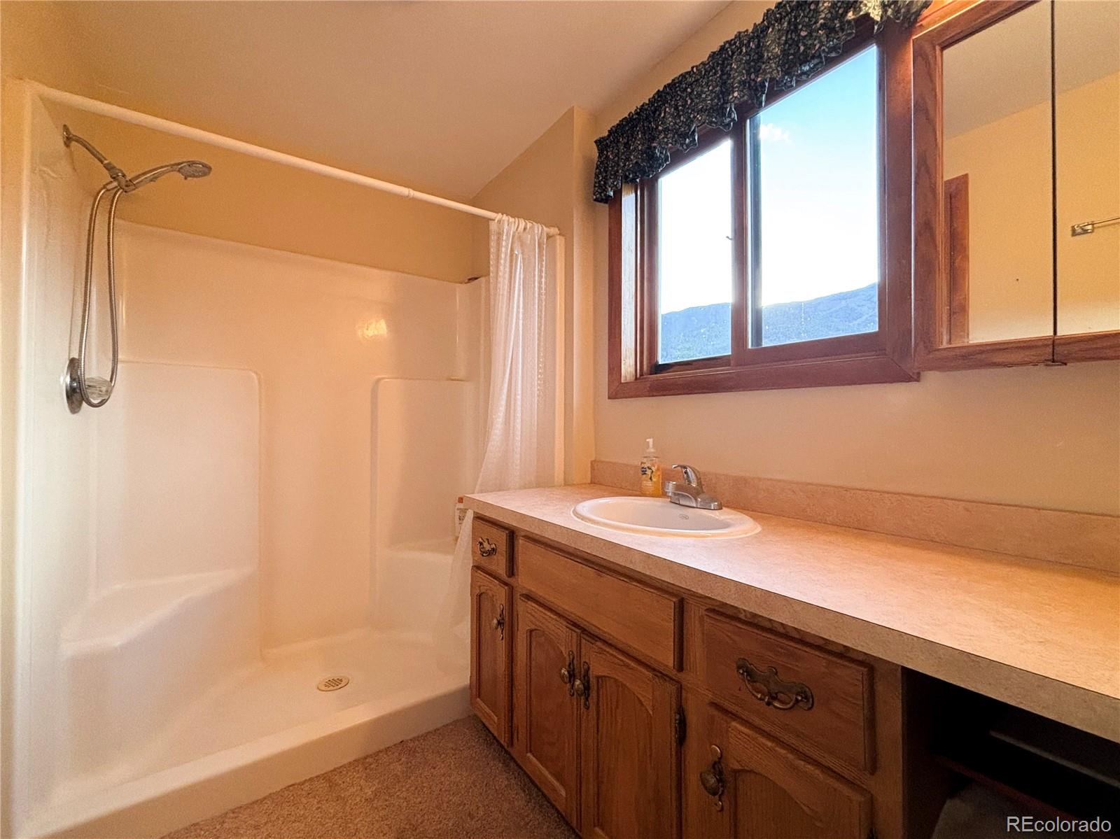 MLS Image #21 for 18260  alta vista drive,buena vista, Colorado