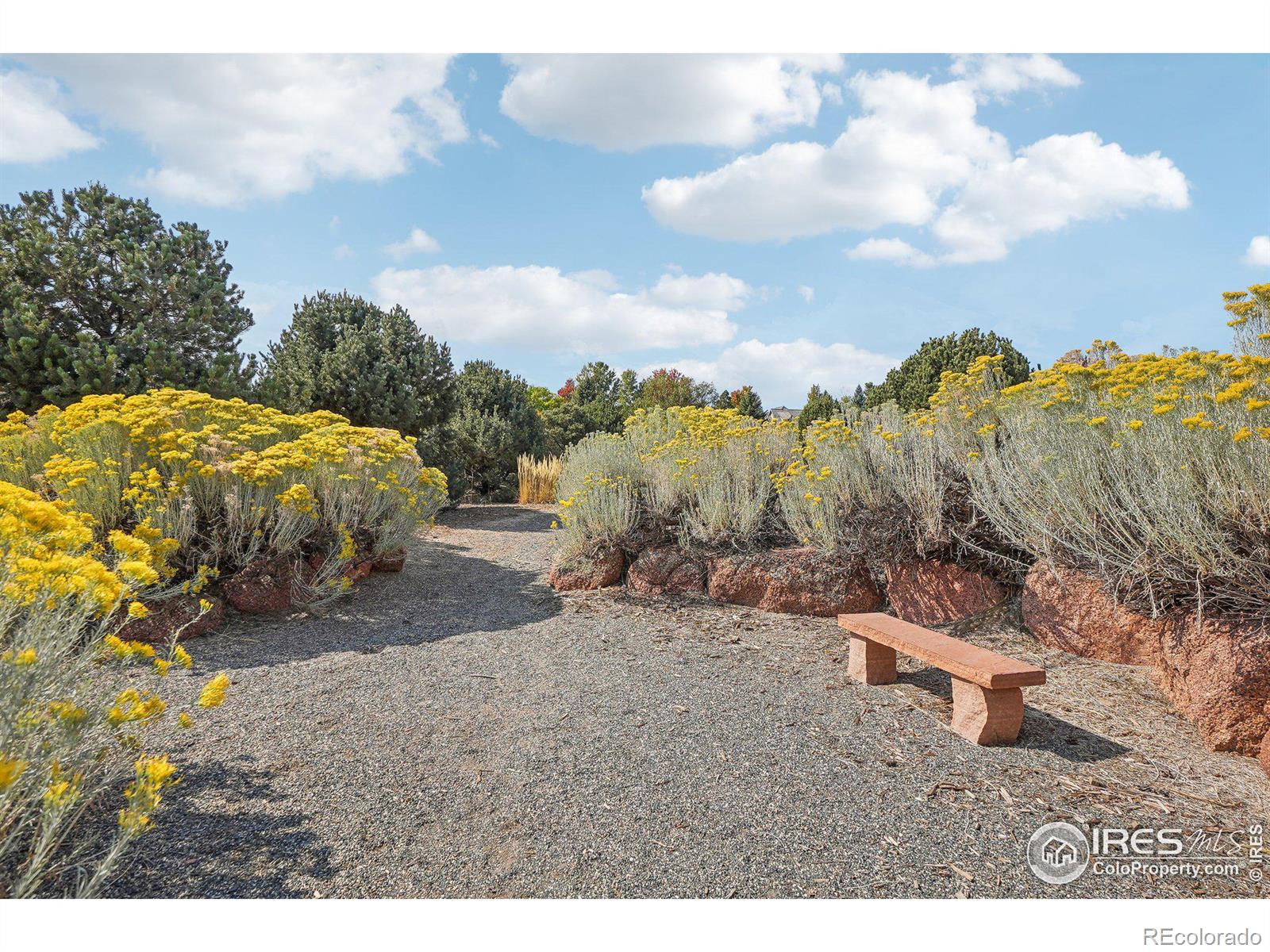 MLS Image #36 for 8937  little raven trail,niwot, Colorado