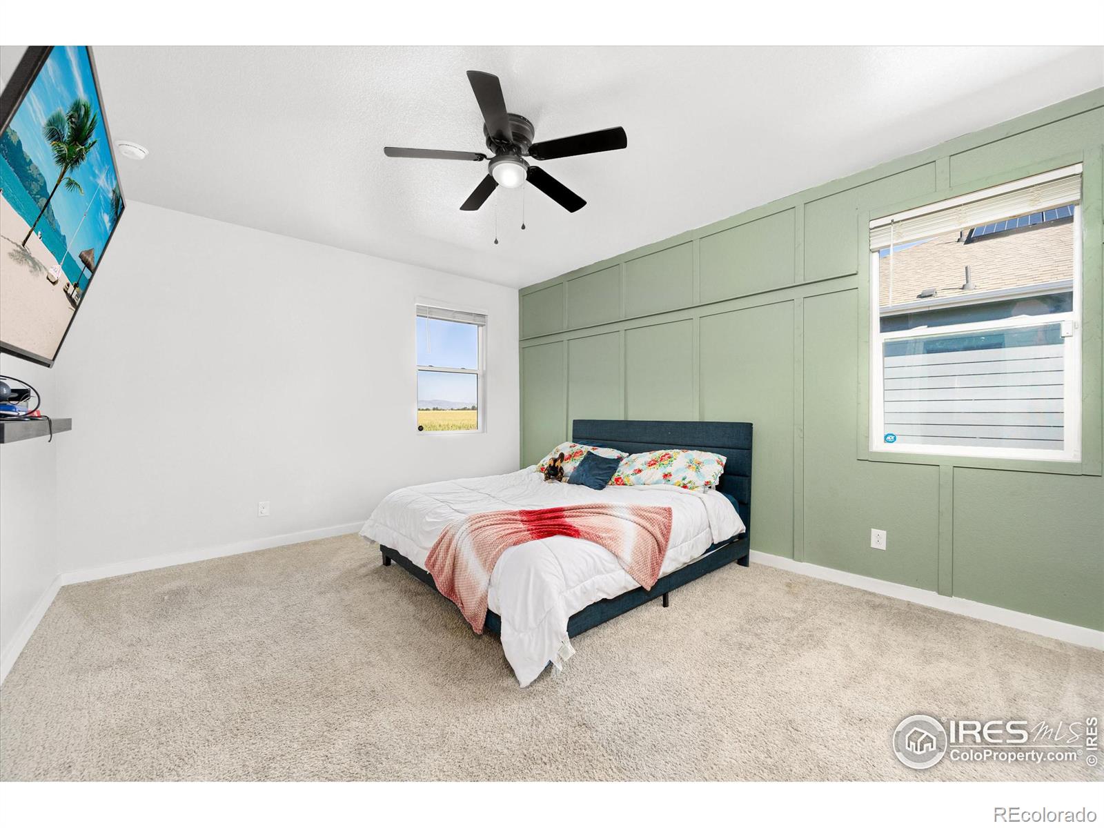 MLS Image #14 for 864  camberly drive,windsor, Colorado