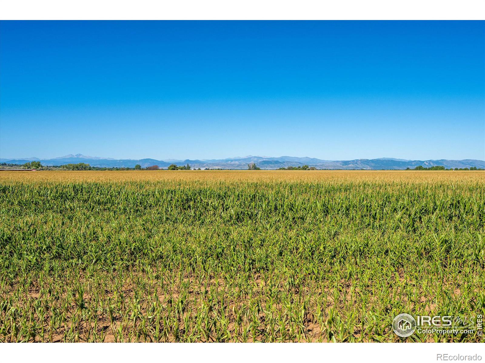 MLS Image #31 for 864  camberly drive,windsor, Colorado