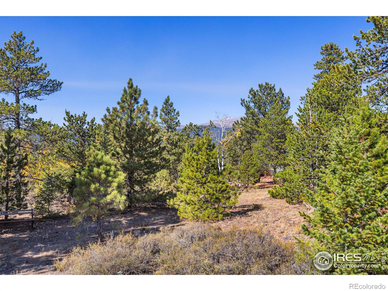 MLS Image #37 for 31  wildewood drive,nederland, Colorado