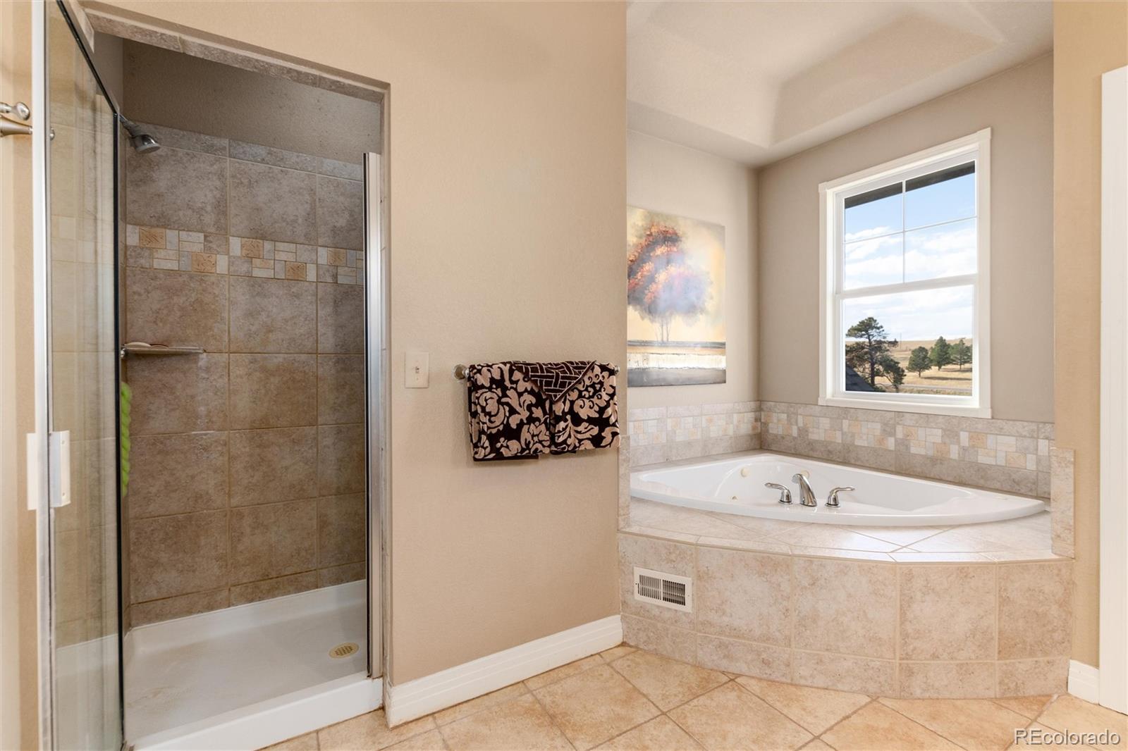 MLS Image #19 for 46338  county road 1 ,parker, Colorado