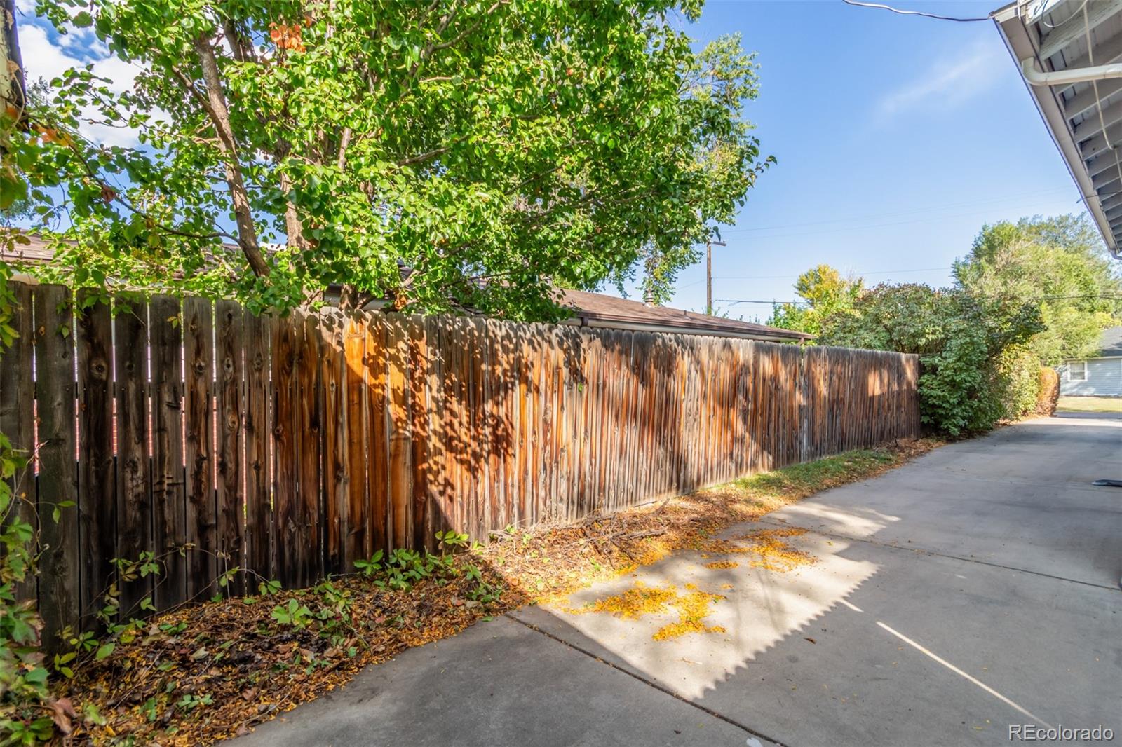 MLS Image #45 for 1369  teller street,lakewood, Colorado