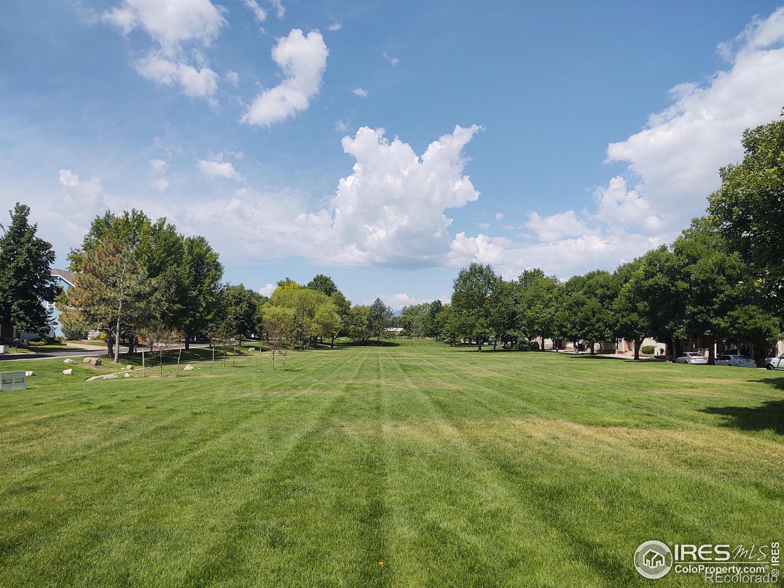 MLS Image #37 for 426  noel avenue,longmont, Colorado