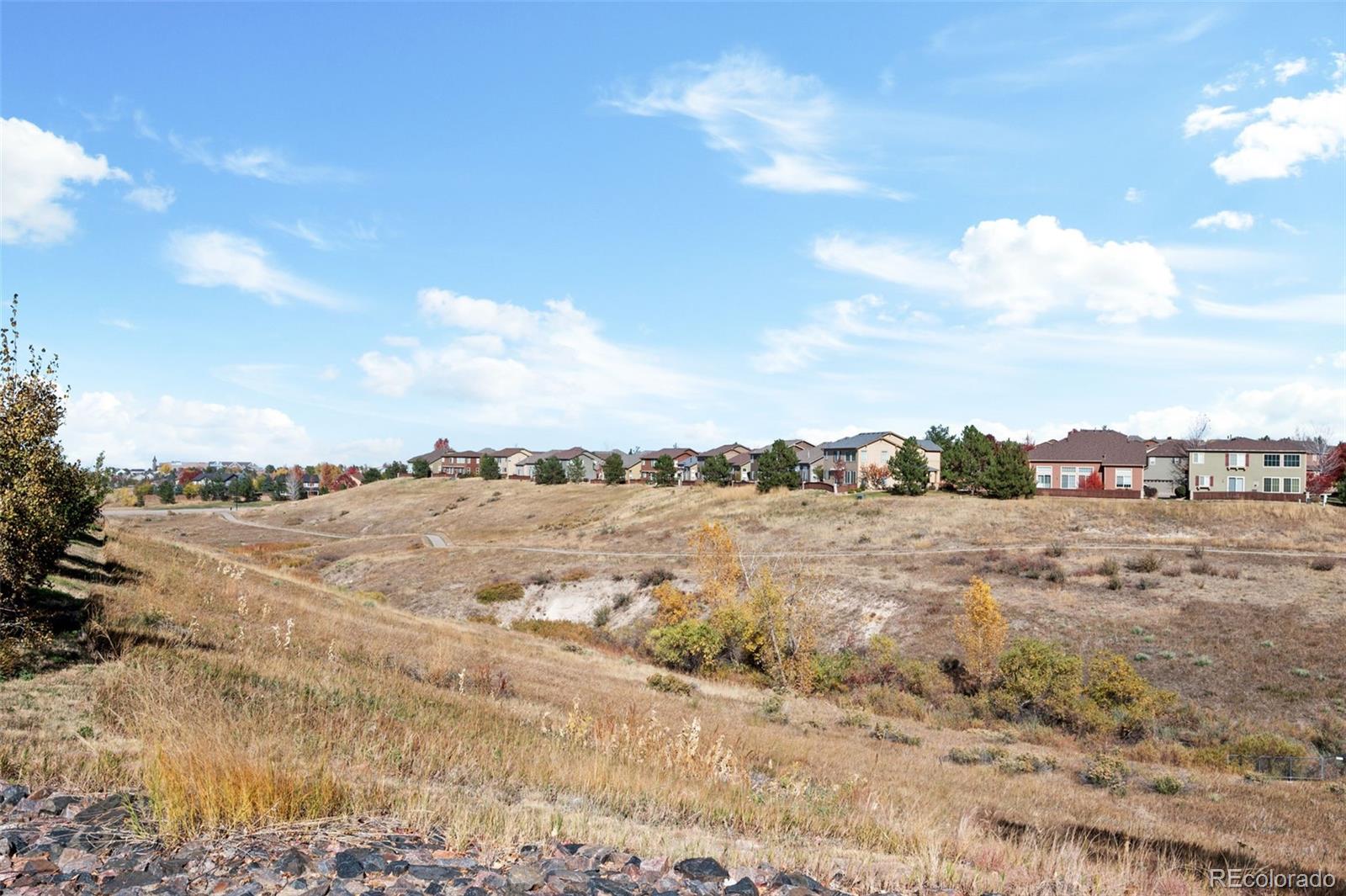 MLS Image #49 for 10752  southhaven circle,highlands ranch, Colorado