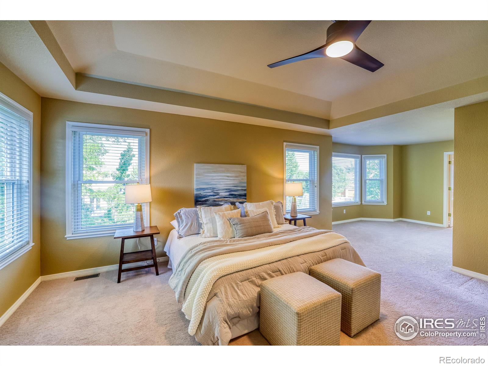 MLS Image #16 for 1647  prairie falcon lane,broomfield, Colorado