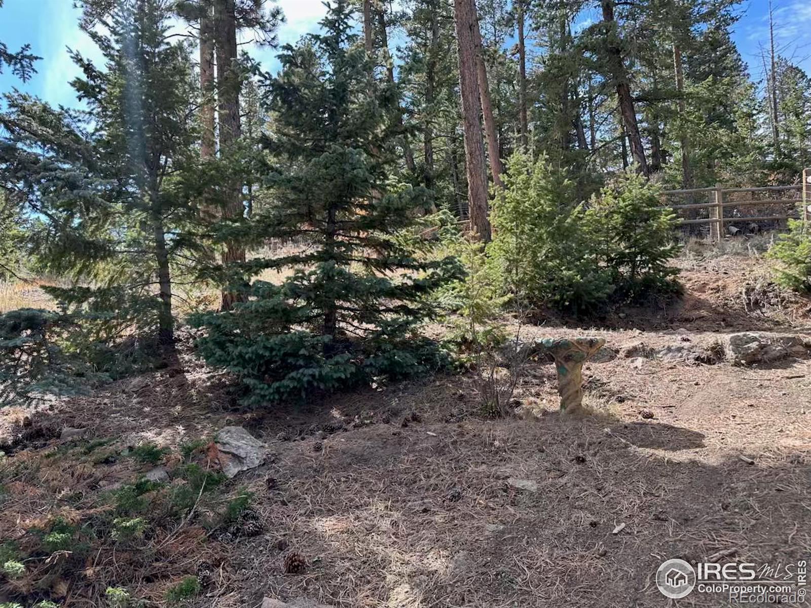 MLS Image #33 for 551  county road 67j ,red feather lakes, Colorado