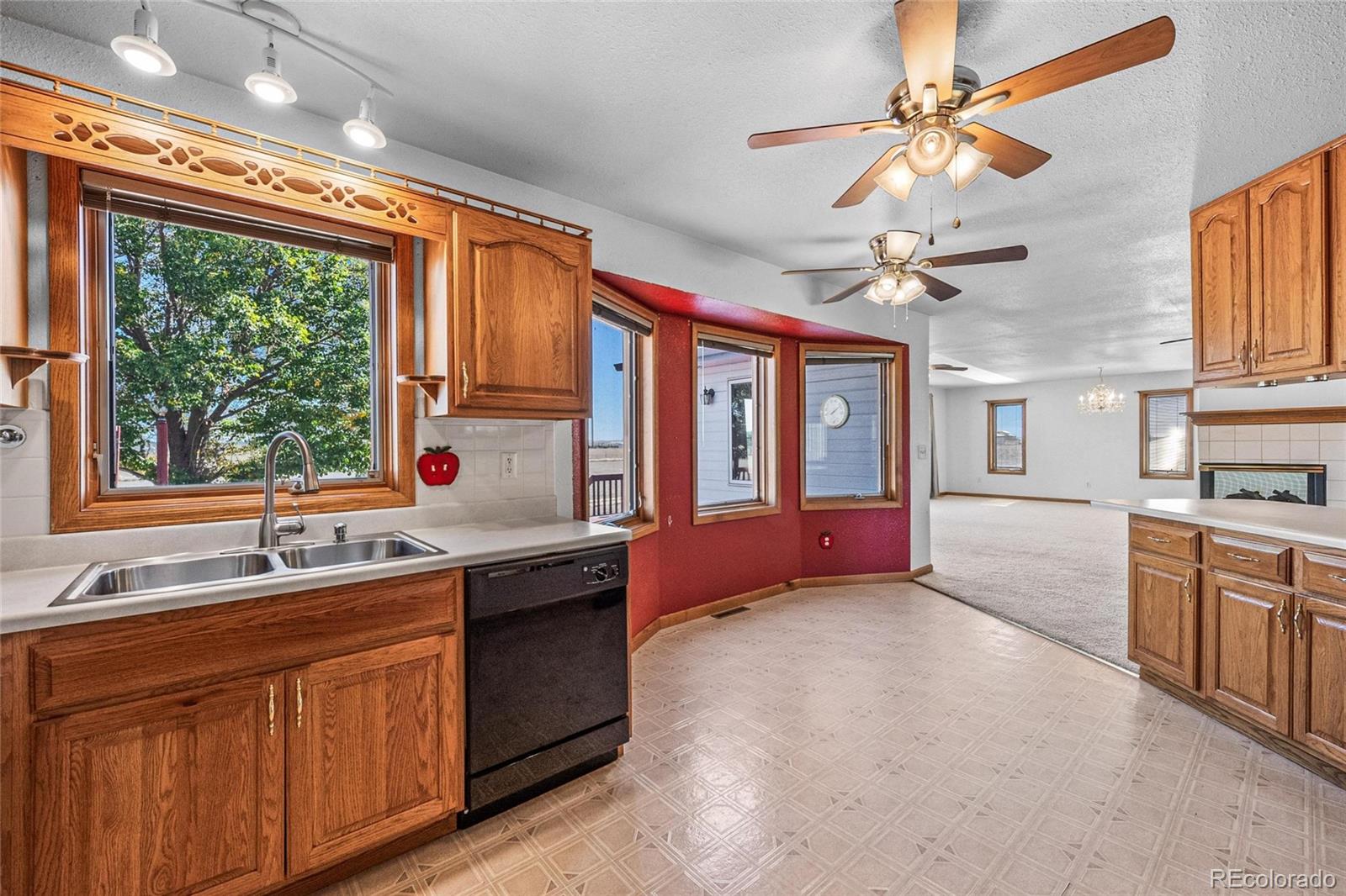 MLS Image #12 for 55  cook court,hudson, Colorado