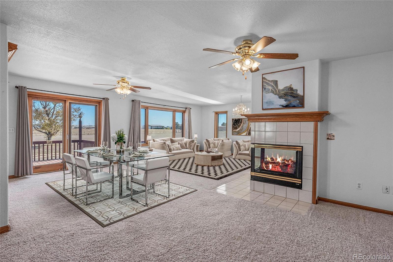 MLS Image #4 for 55  cook court,hudson, Colorado