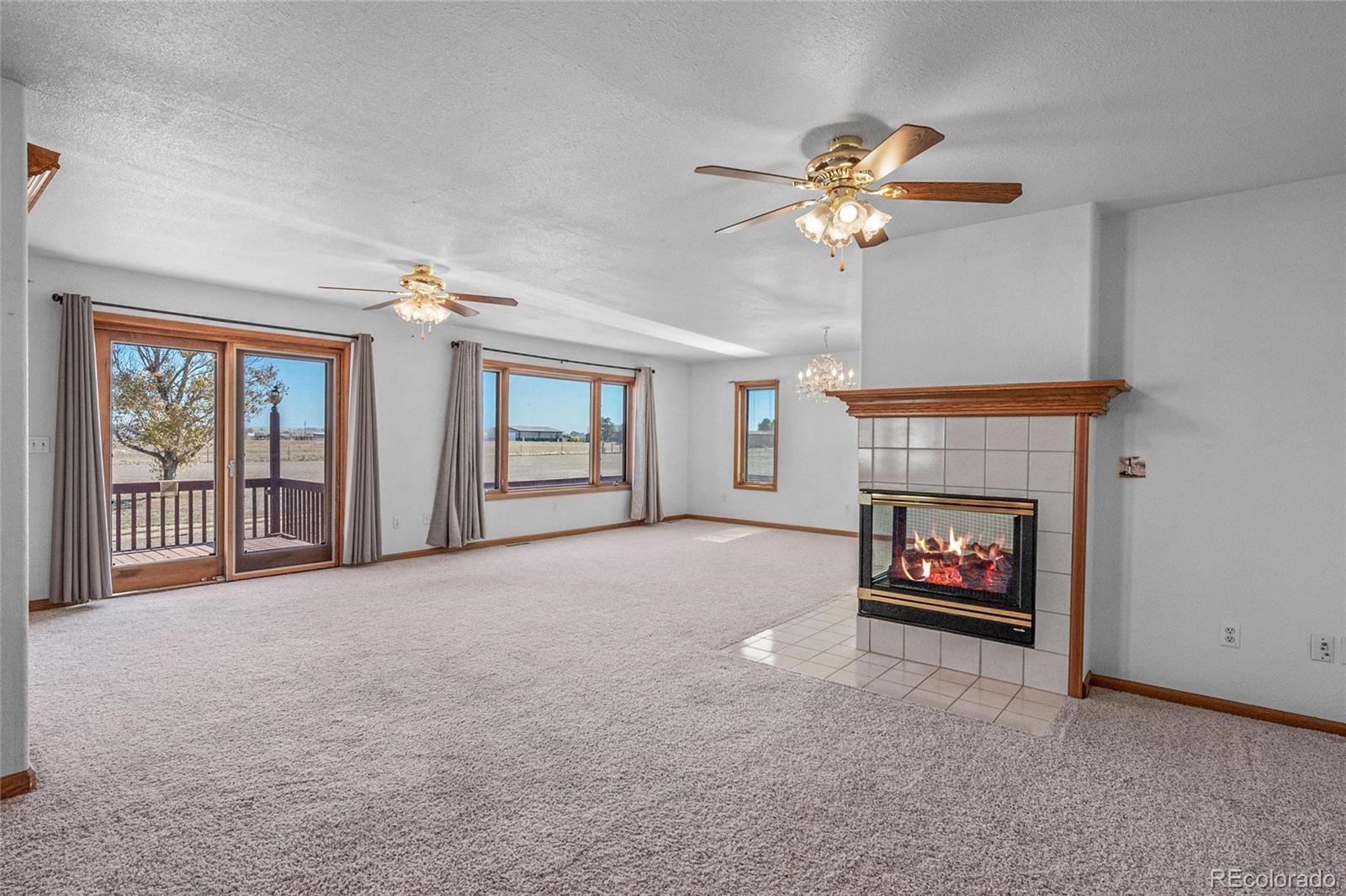 MLS Image #5 for 55  cook court,hudson, Colorado