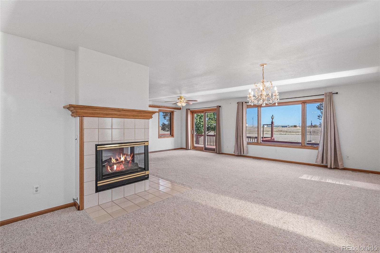 MLS Image #7 for 55  cook court,hudson, Colorado