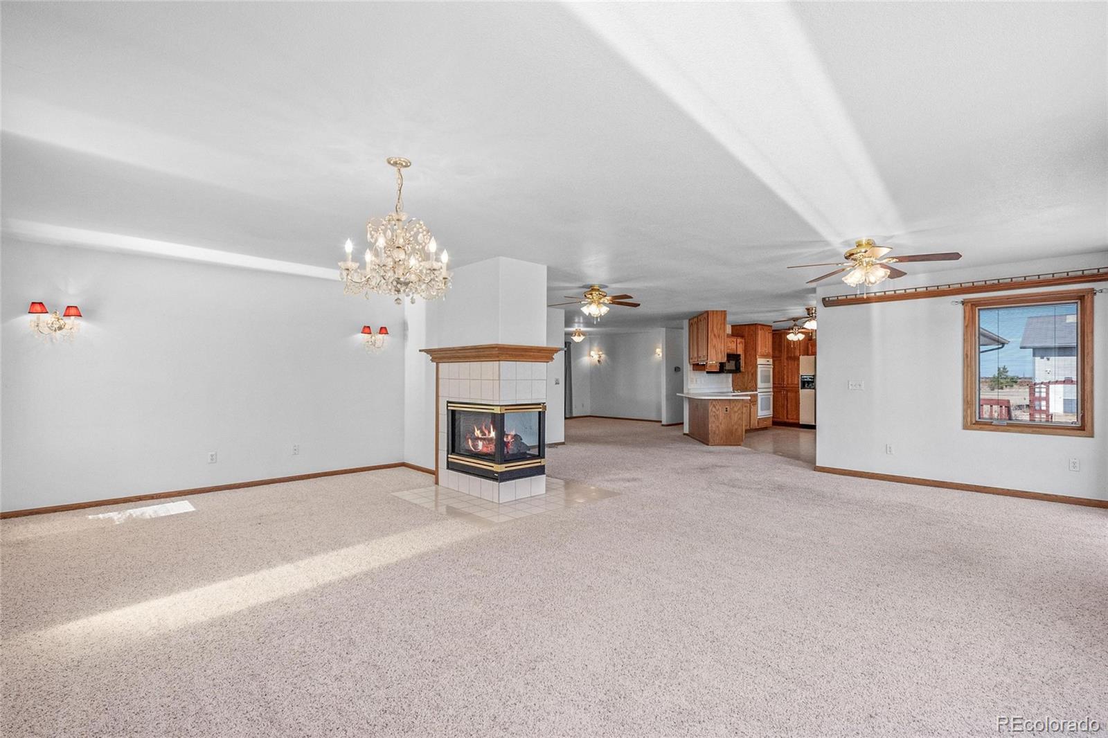 MLS Image #9 for 55  cook court,hudson, Colorado