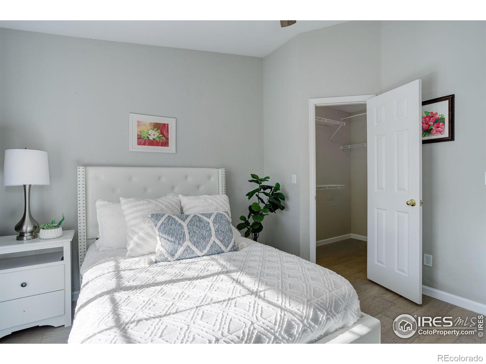 MLS Image #11 for 11729  zenobia loop,westminster, Colorado