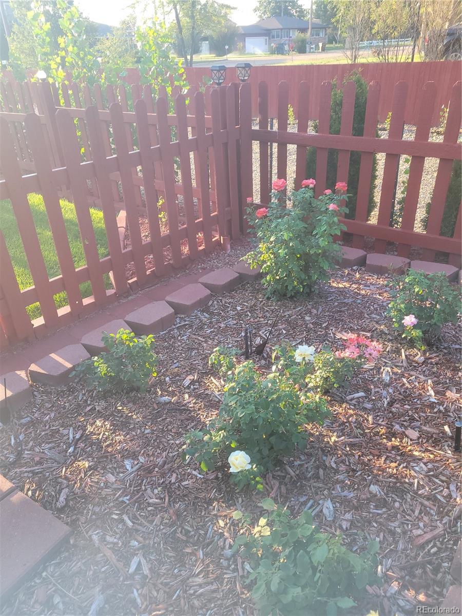 MLS Image #44 for 2113  bluebell avenue,greeley, Colorado