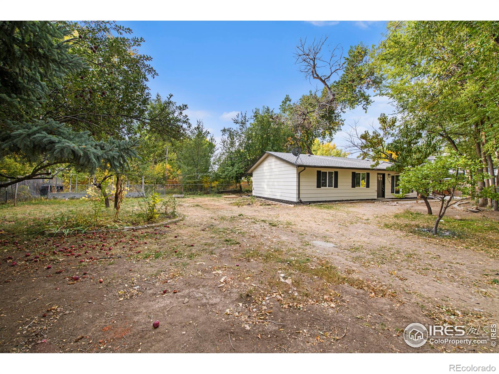 MLS Image #23 for 3205  wilson court,laporte, Colorado