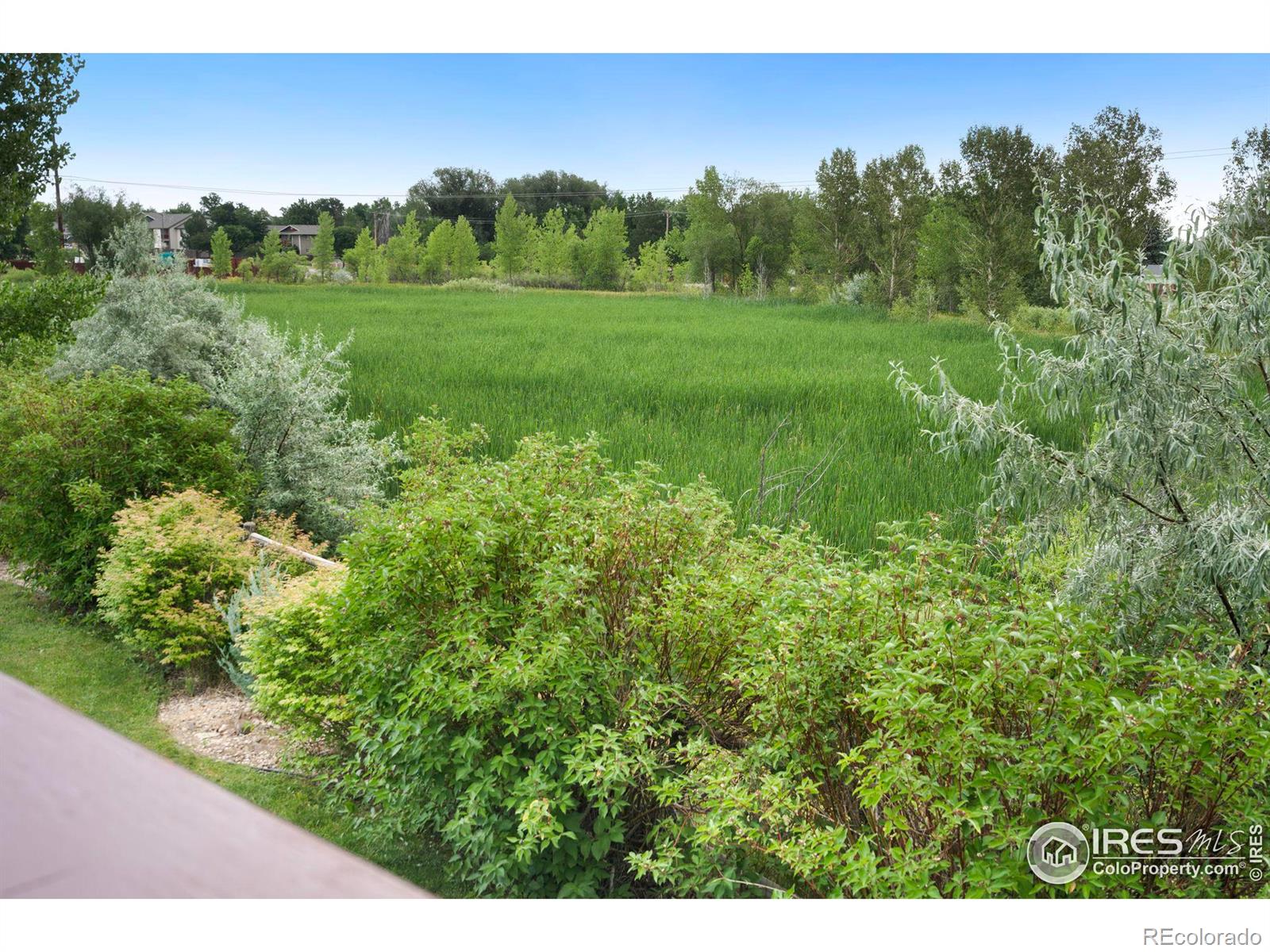 MLS Image #22 for 3203  snowbrush place,fort collins, Colorado