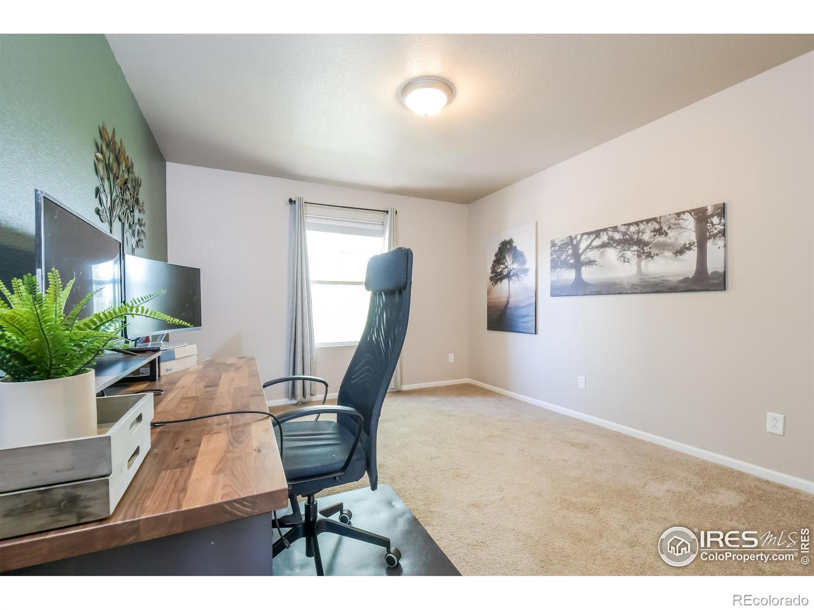 MLS Image #13 for 12665  jasmine street,thornton, Colorado