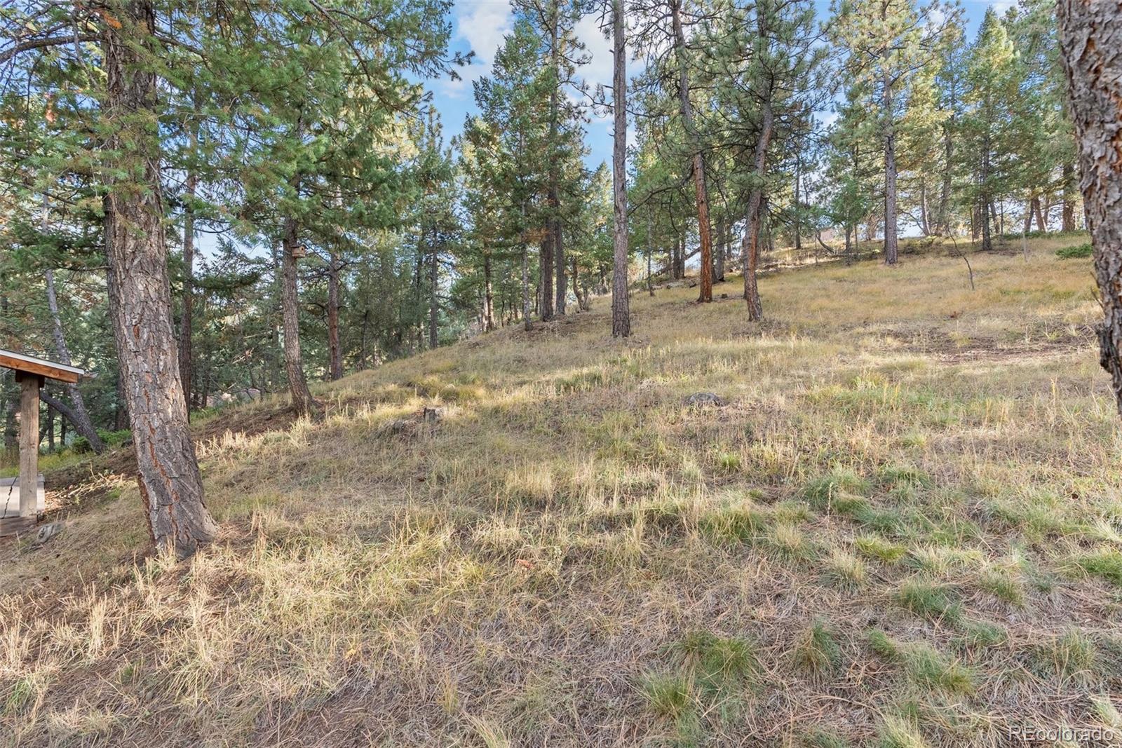 MLS Image #27 for 4904 s indian trail,evergreen, Colorado