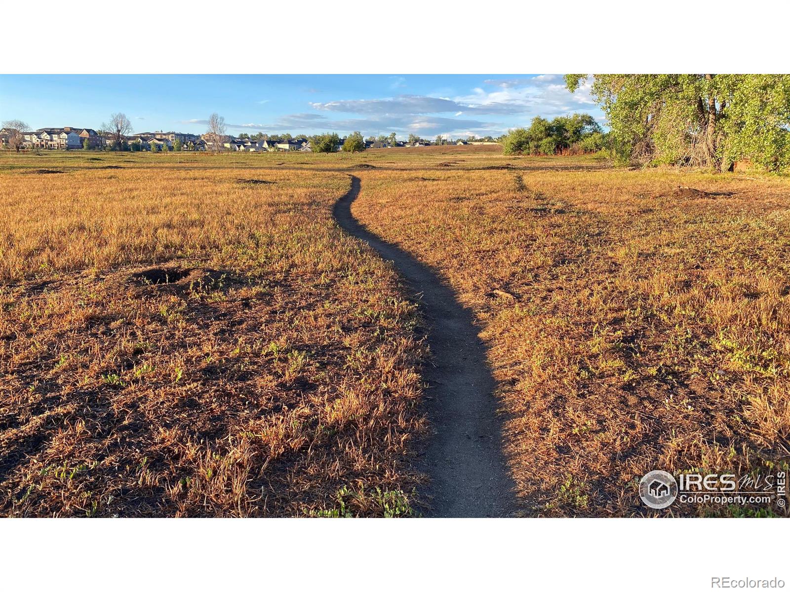 MLS Image #38 for 9511  gray street,westminster, Colorado