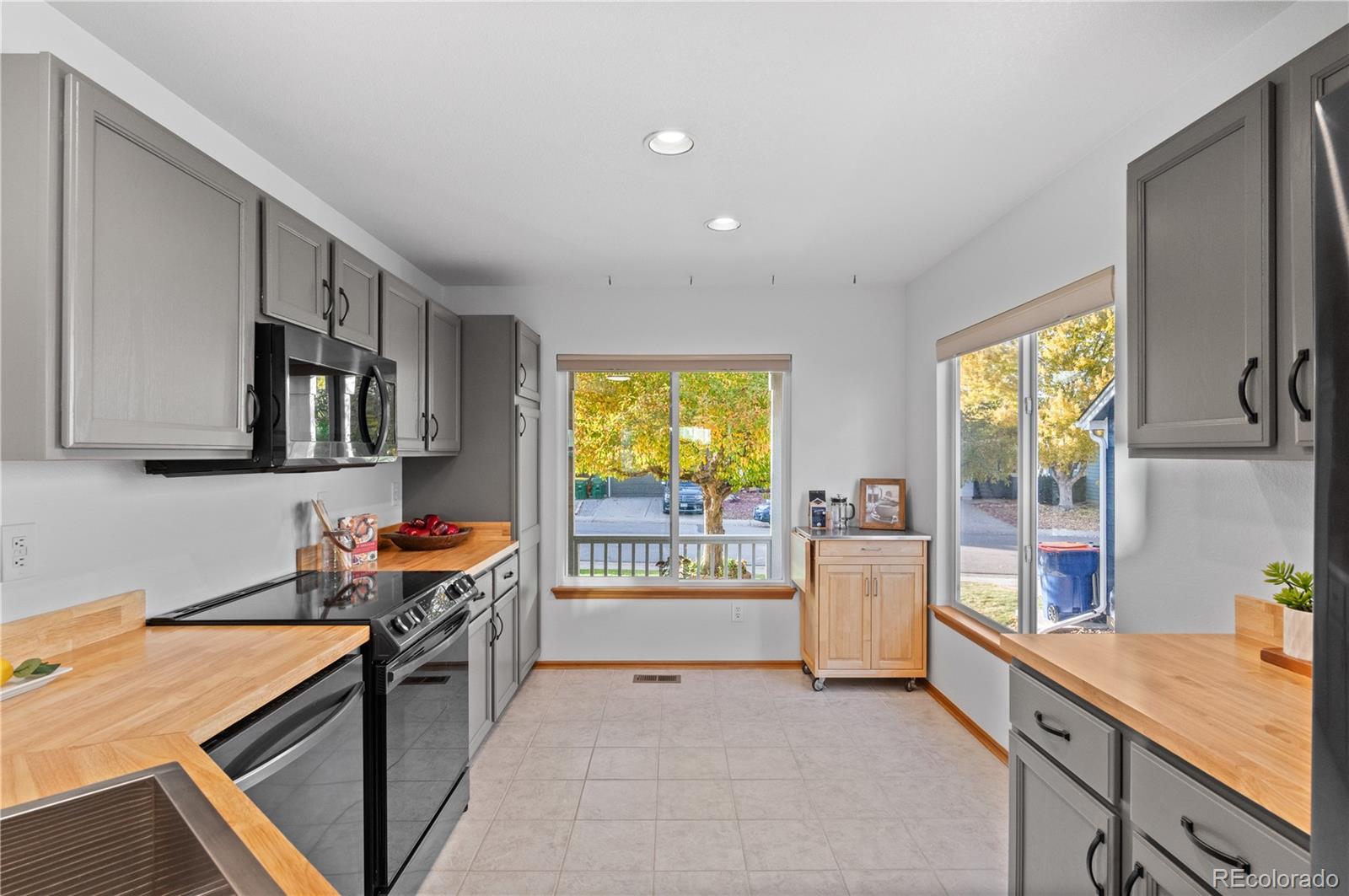 MLS Image #12 for 8740  starwood lane,parker, Colorado