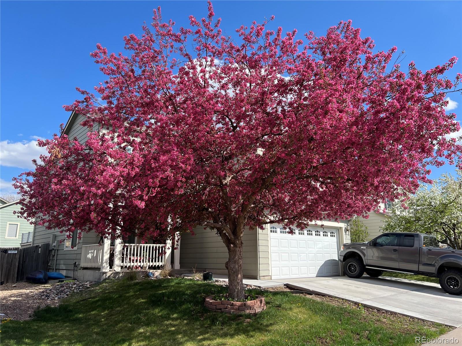 MLS Image #33 for 8740  starwood lane,parker, Colorado