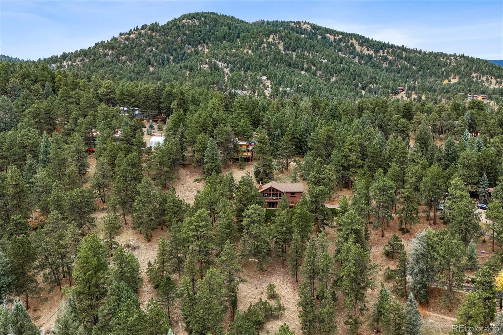 MLS Image #29 for 6461  doris lane,evergreen, Colorado