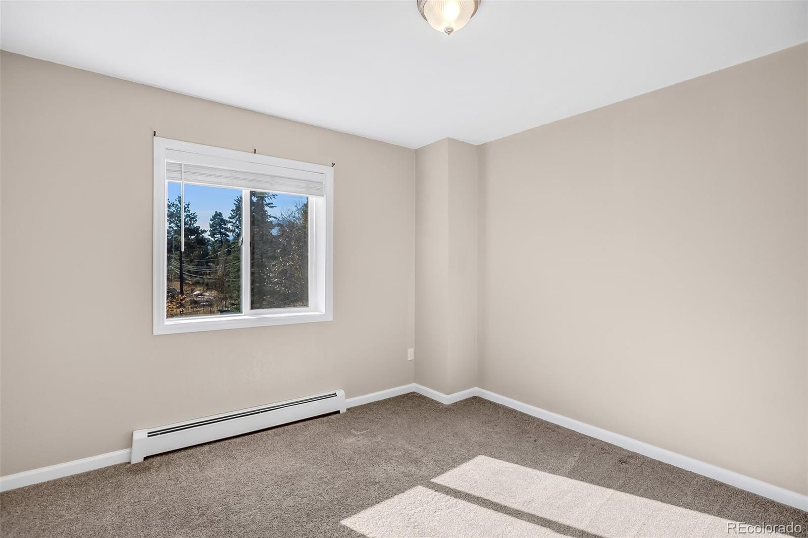 MLS Image #21 for 1080  woodland avenue,woodland park, Colorado