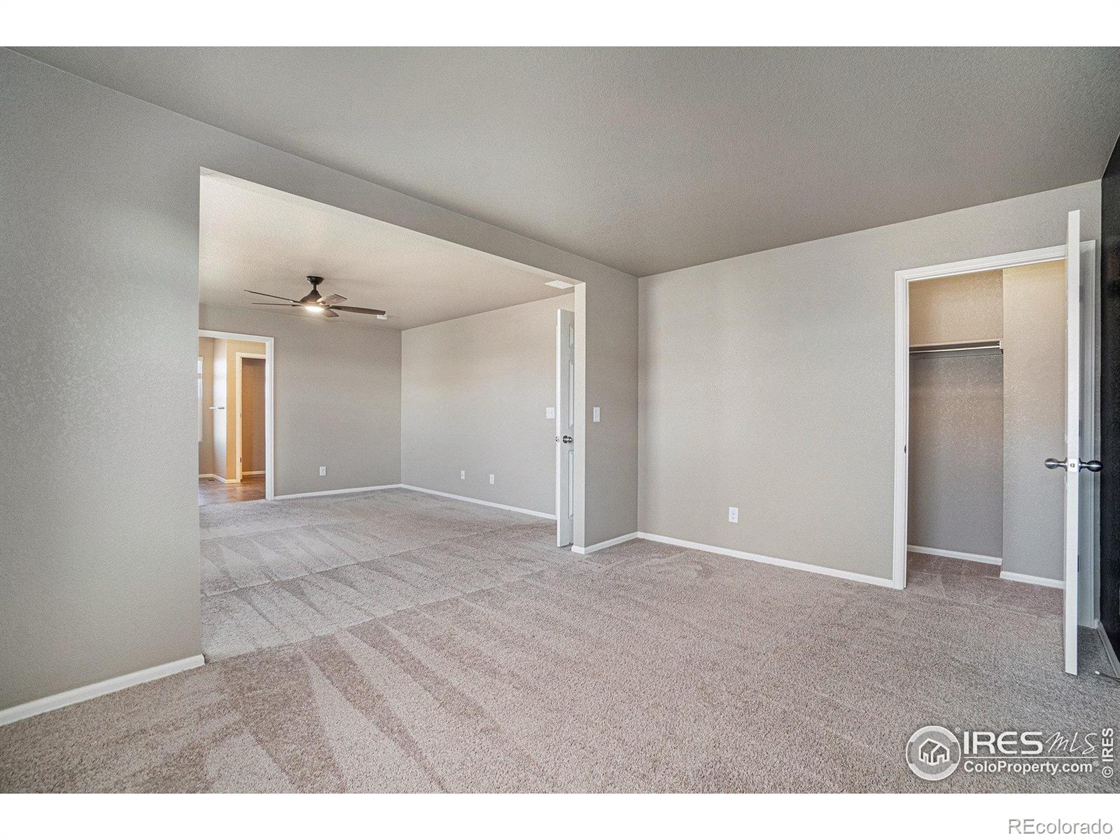 MLS Image #14 for 1529  highfield court,windsor, Colorado