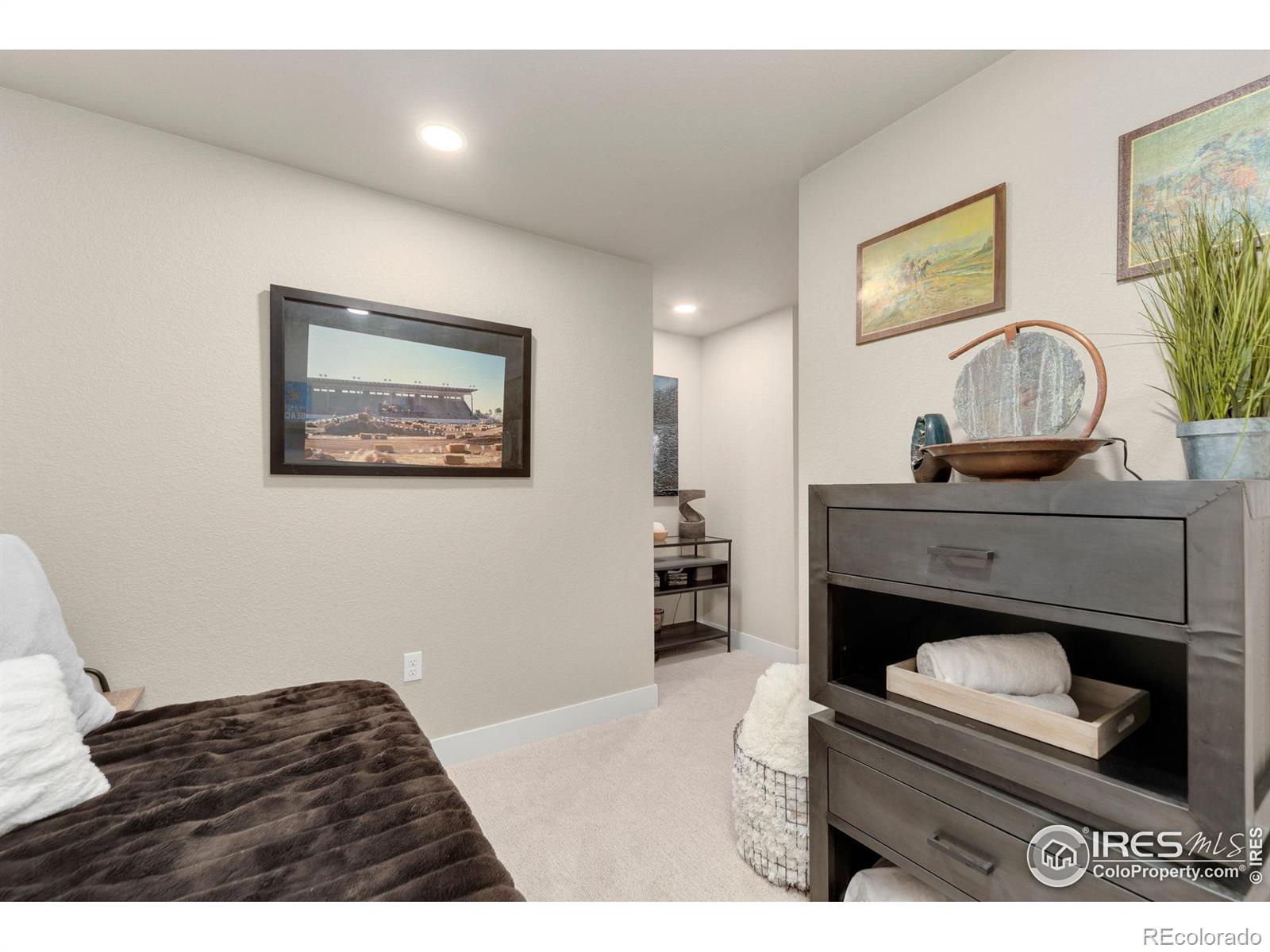 MLS Image #29 for 2753  vallecito street,timnath, Colorado