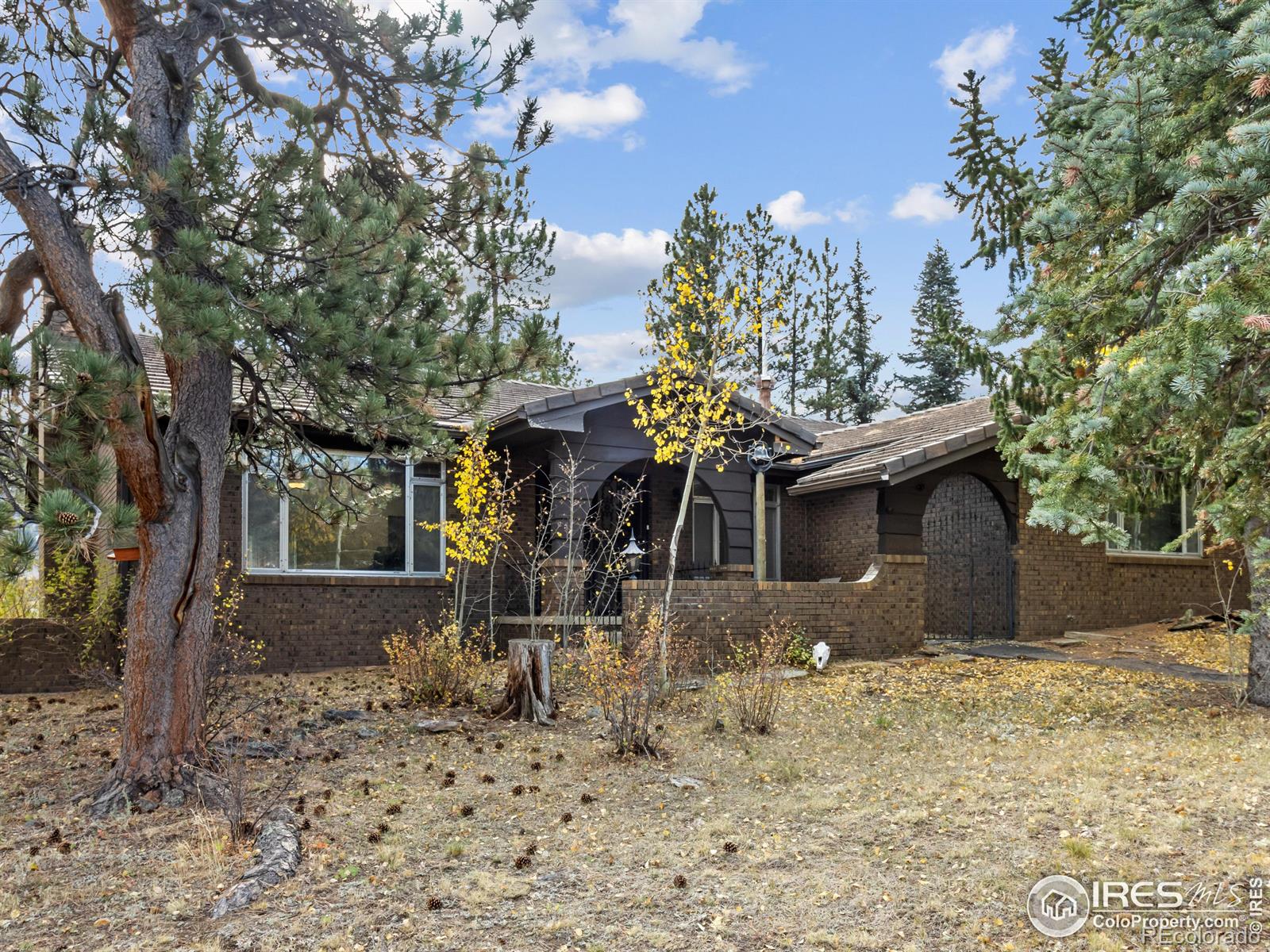 CMA Image for 912  rambling drive,Estes Park, Colorado