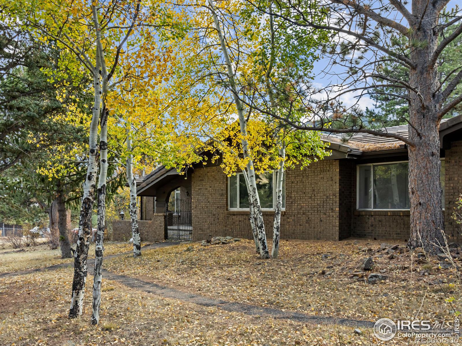 MLS Image #5 for 2410  spruce avenue,estes park, Colorado