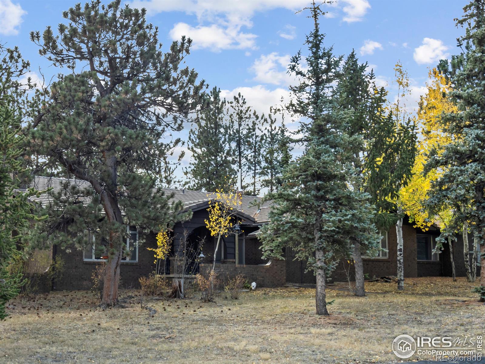 MLS Image #7 for 2410  spruce avenue,estes park, Colorado