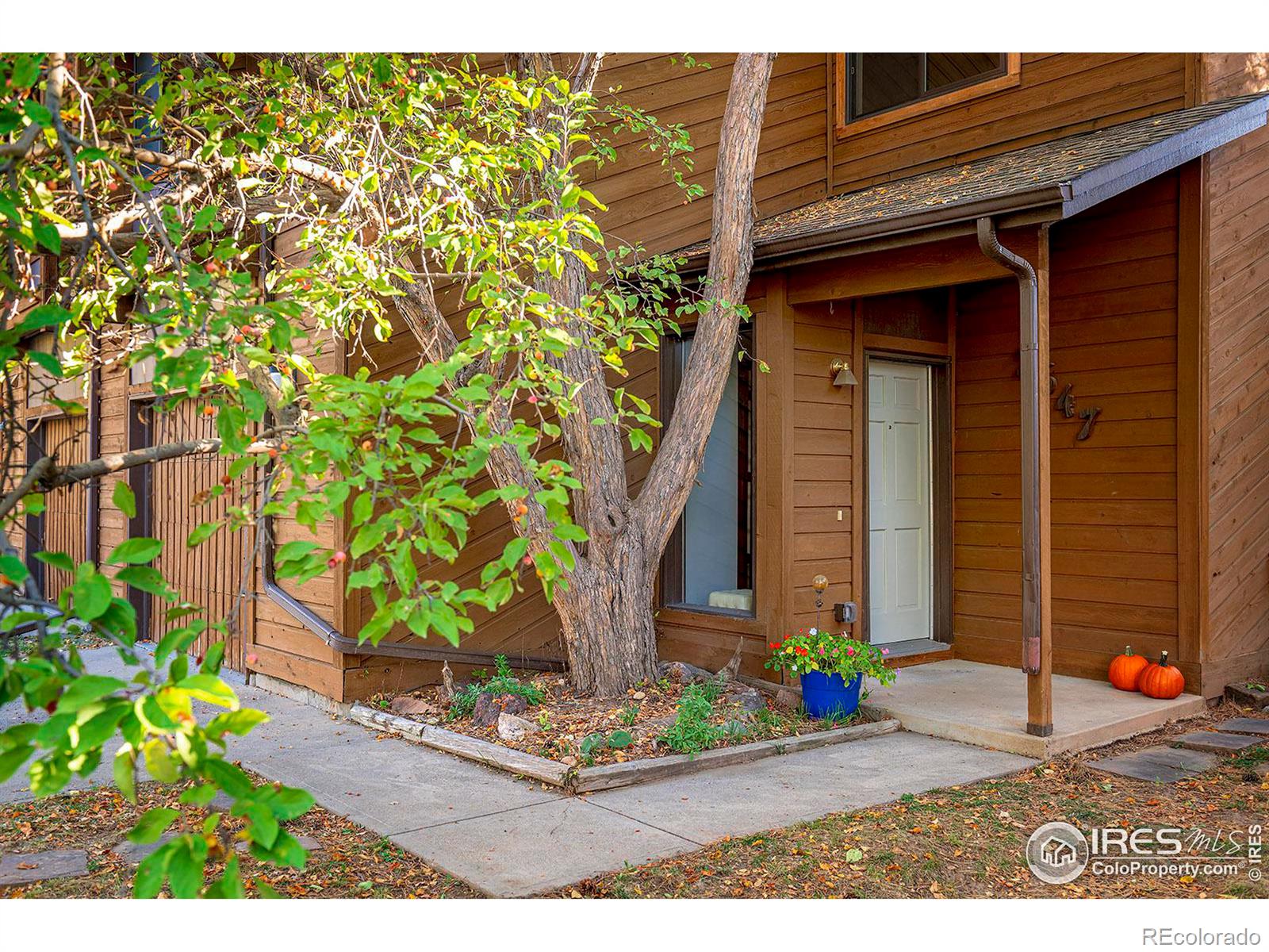 MLS Image #38 for 2647  juniper avenue,boulder, Colorado