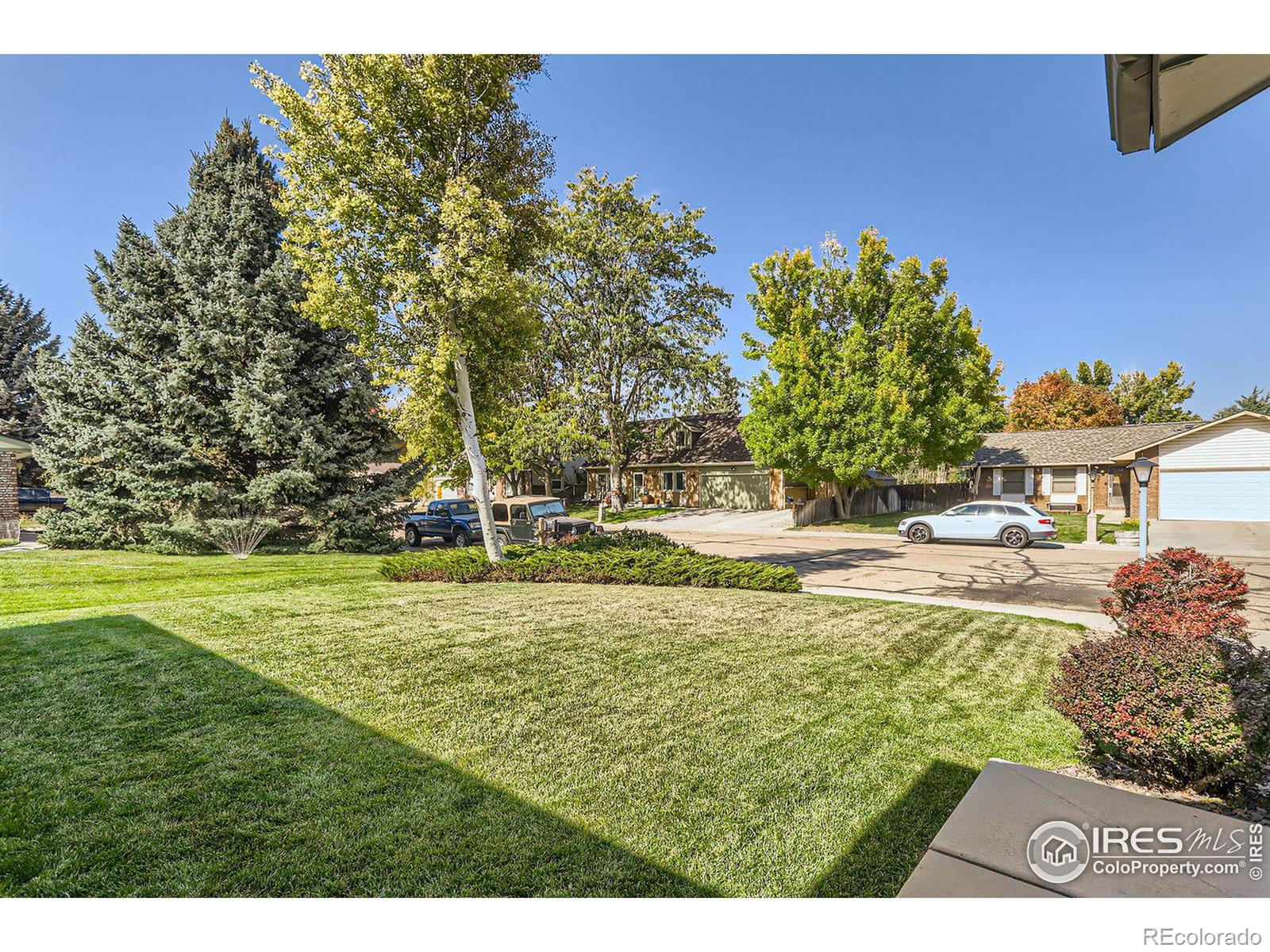 MLS Image #4 for 1368  garden circle,longmont, Colorado