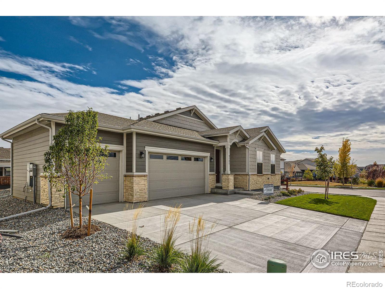 MLS Image #2 for 2121  autumn moon drive,windsor, Colorado