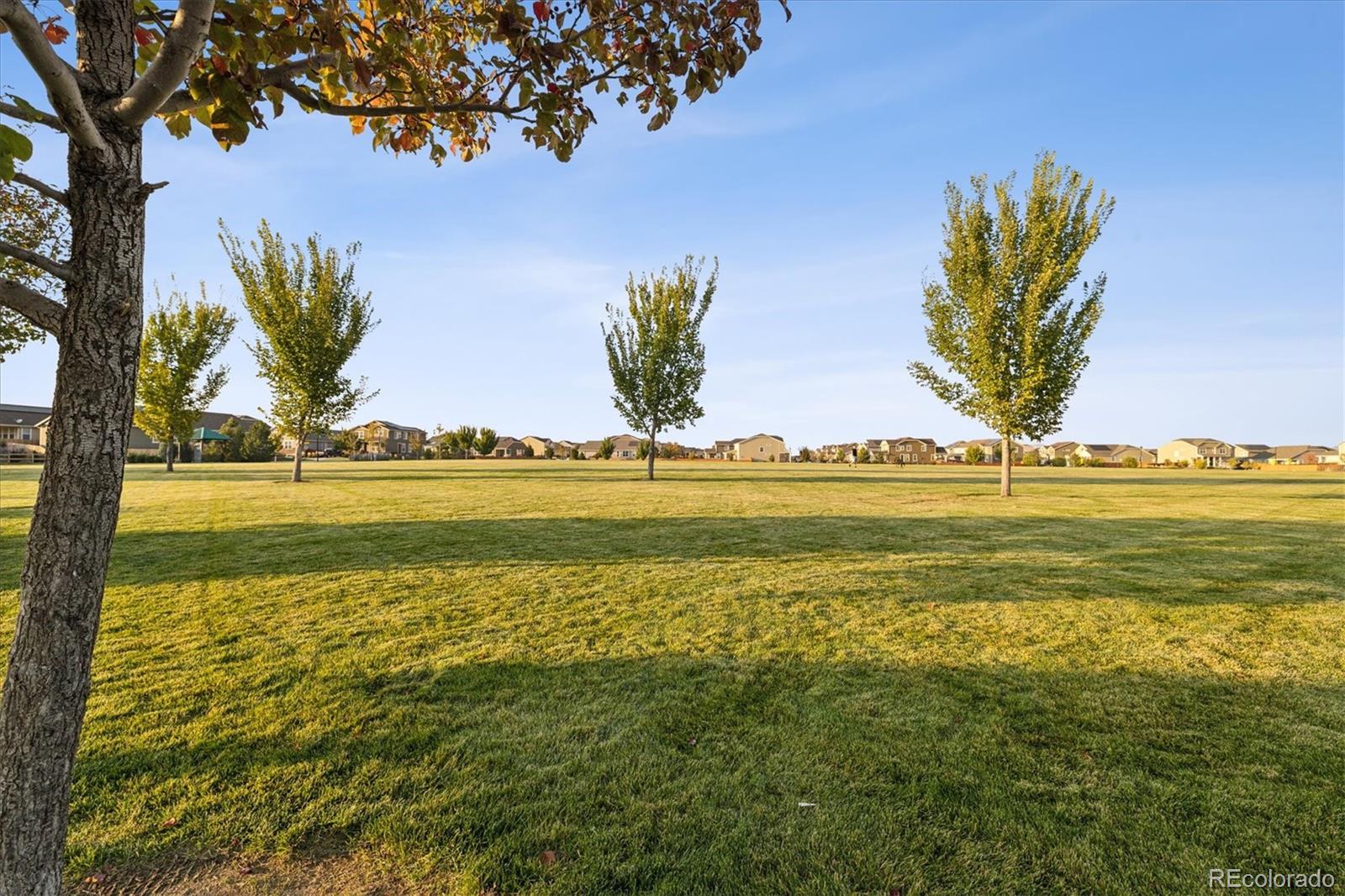 MLS Image #33 for 2541 e 163rd place,thornton, Colorado