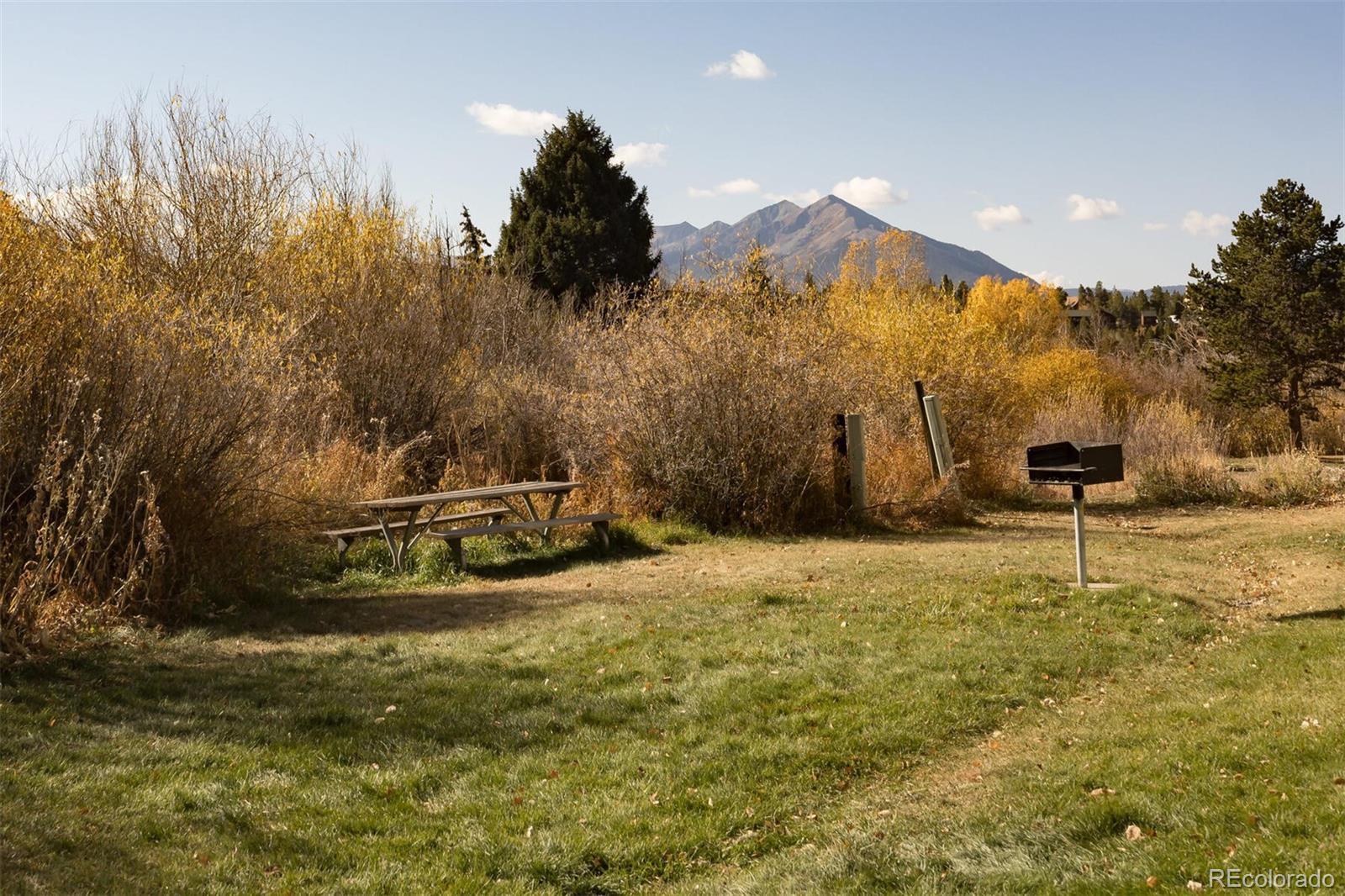 MLS Image #36 for 340  straight creek drive,dillon, Colorado