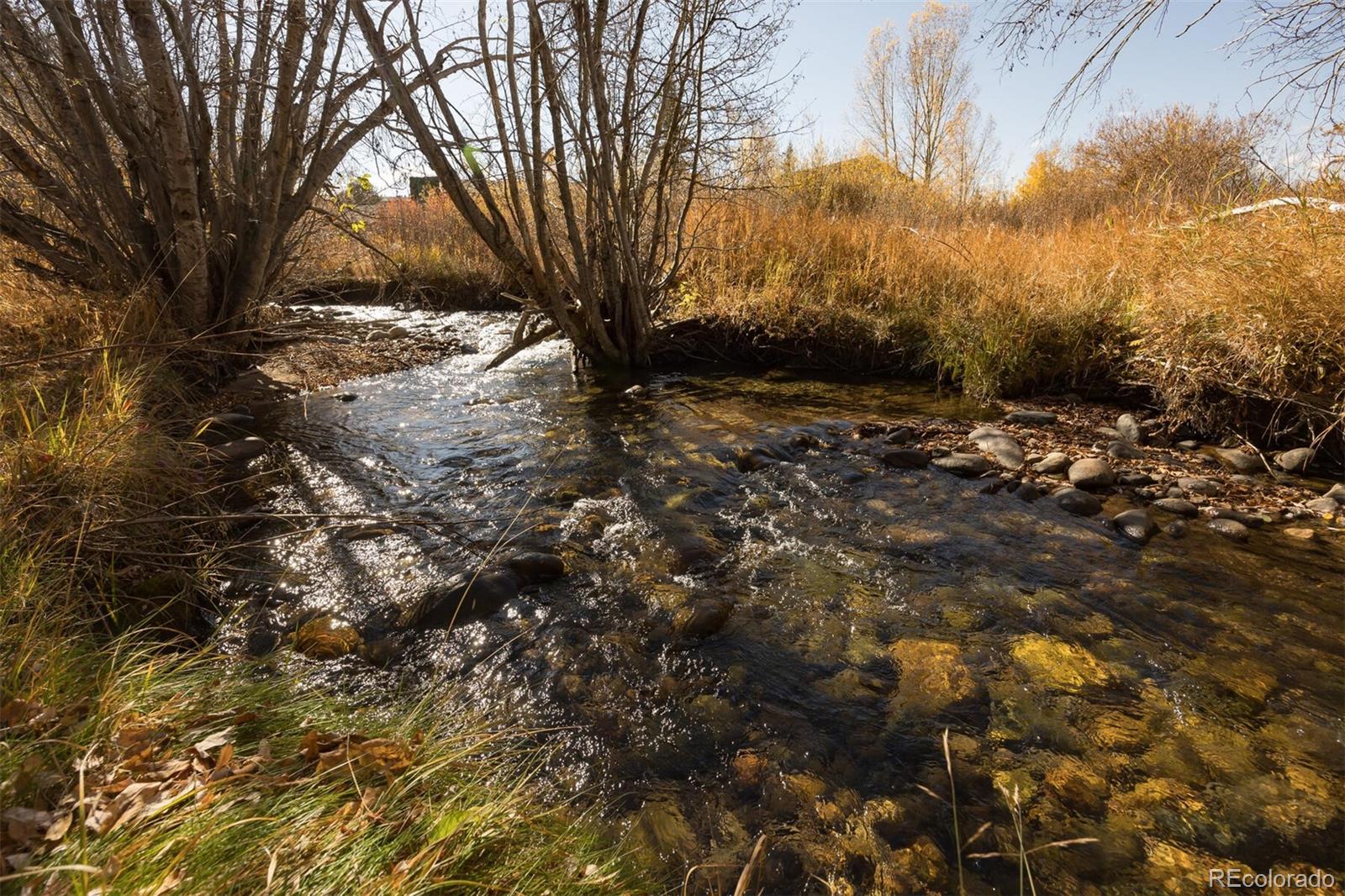 MLS Image #38 for 340  straight creek drive,dillon, Colorado