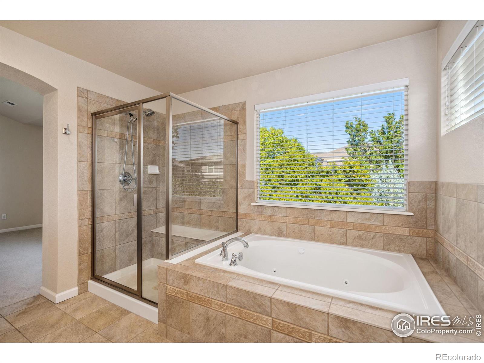 MLS Image #17 for 3902  big dipper drive,fort collins, Colorado