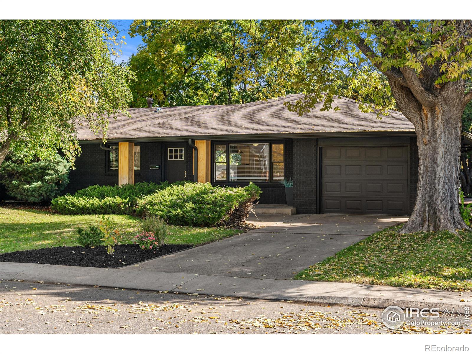 MLS Image #2 for 1308  robertson street,fort collins, Colorado