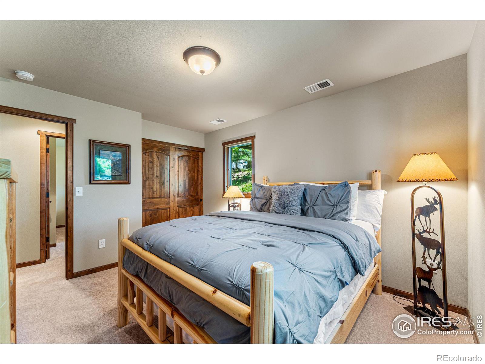 MLS Image #19 for 605  park river place,estes park, Colorado