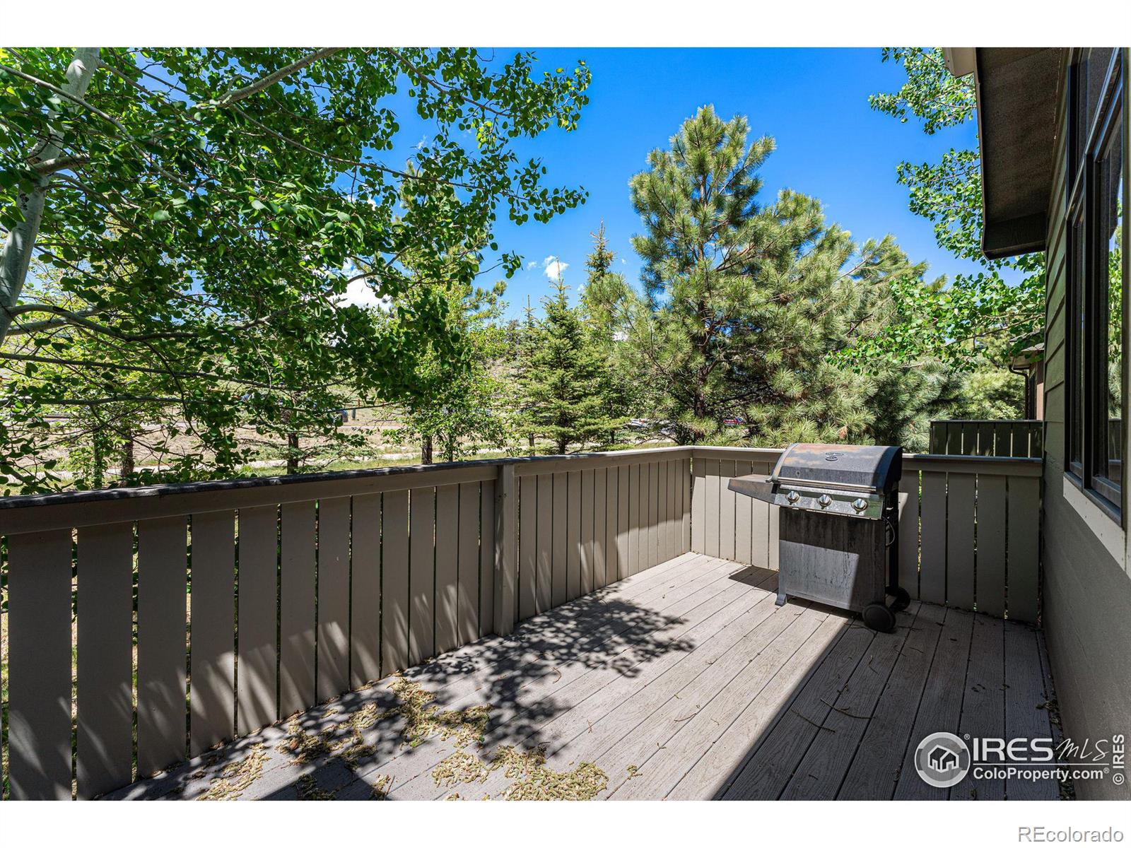 MLS Image #26 for 605  park river place,estes park, Colorado