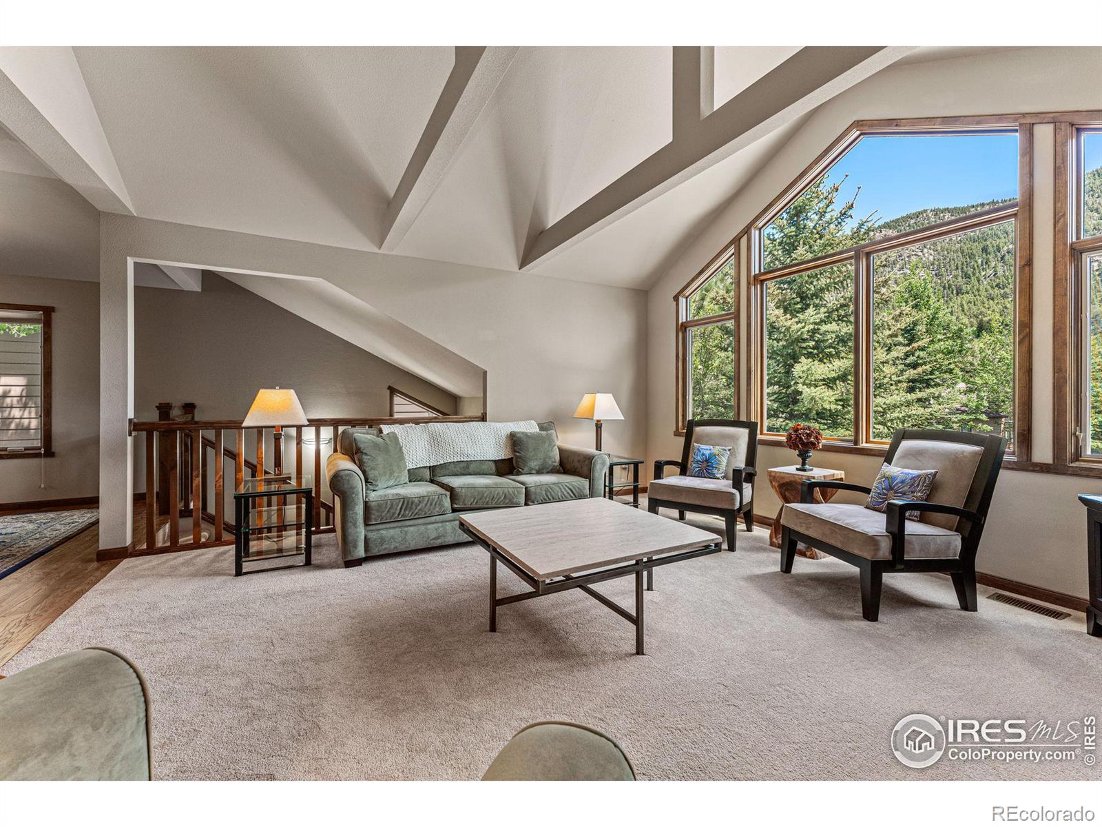 MLS Image #3 for 605  park river place,estes park, Colorado