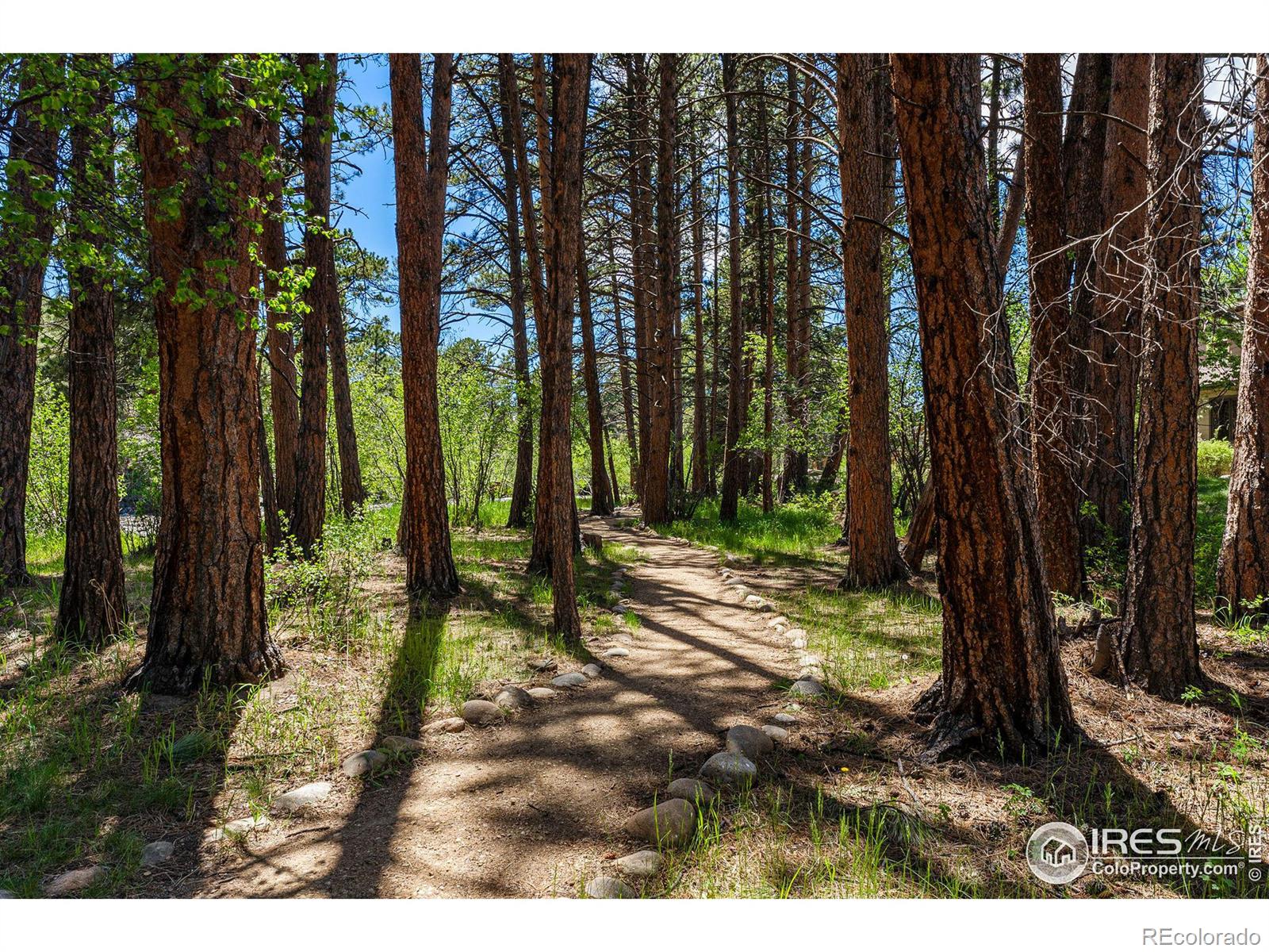 MLS Image #30 for 605  park river place,estes park, Colorado