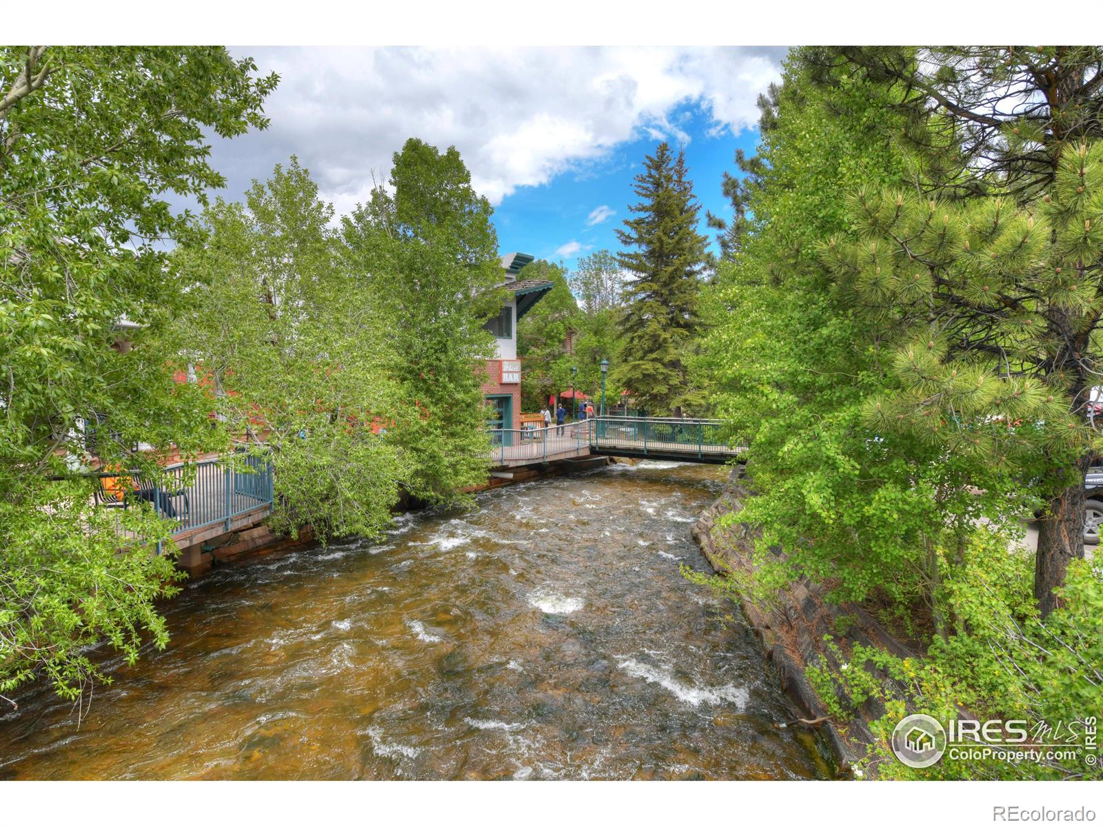 MLS Image #34 for 605  park river place,estes park, Colorado