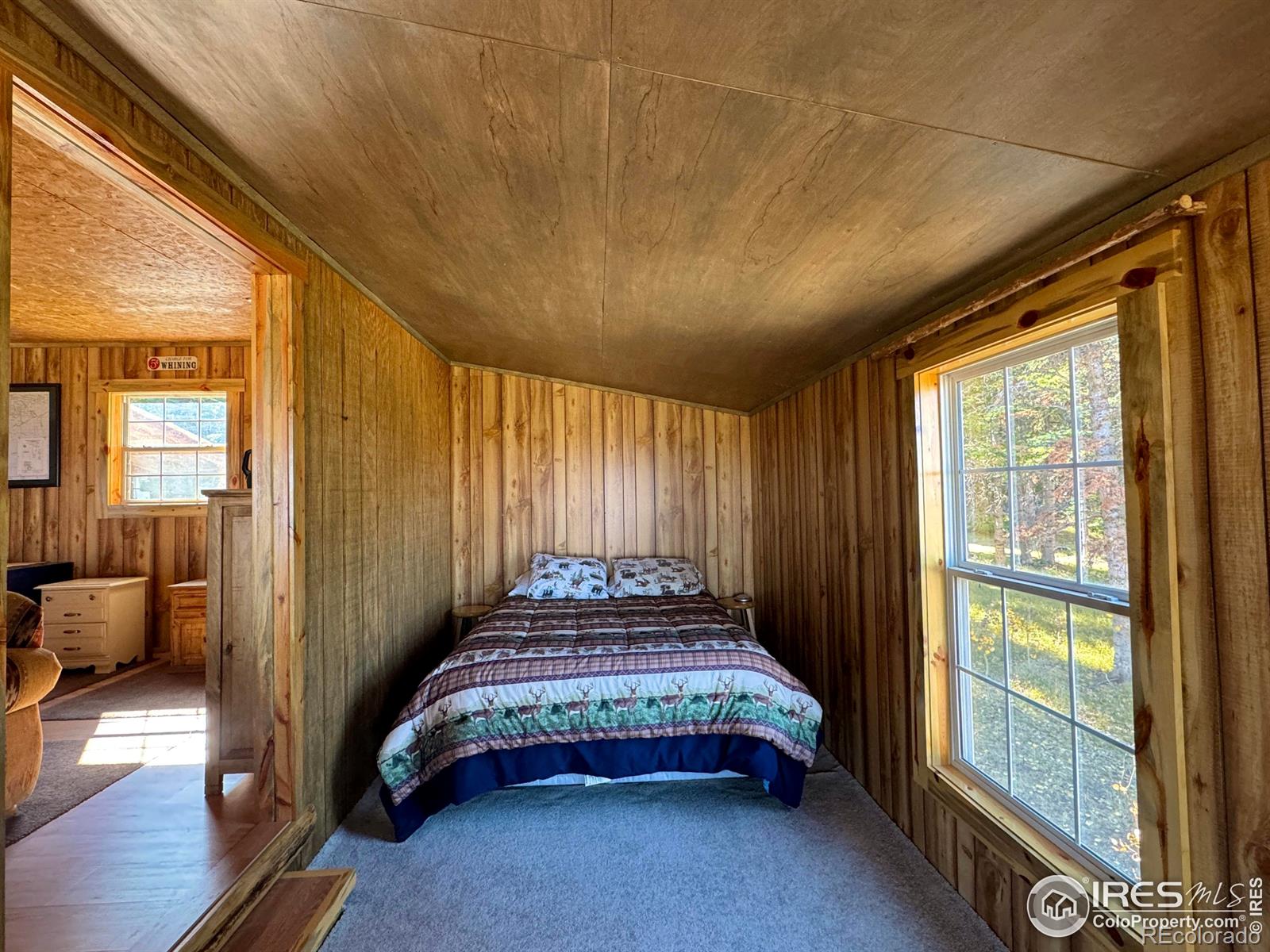 MLS Image #18 for 235  forb lane,red feather lakes, Colorado