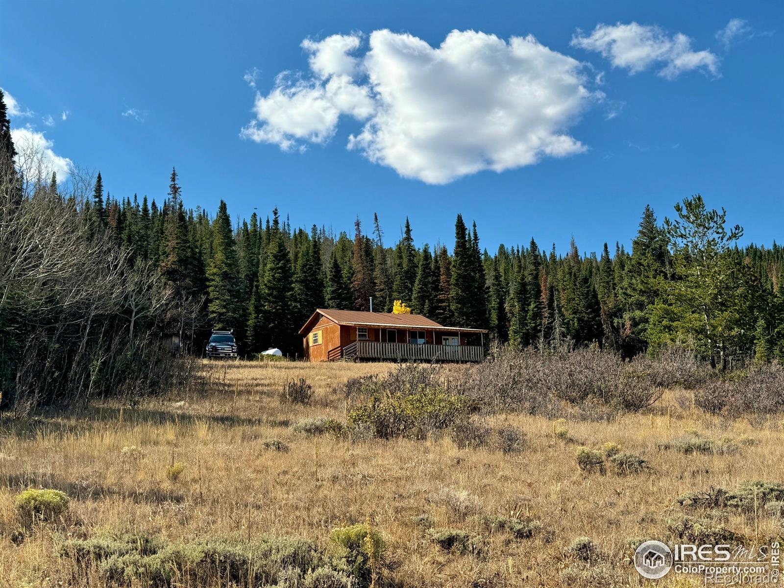 MLS Image #2 for 235  forb lane,red feather lakes, Colorado