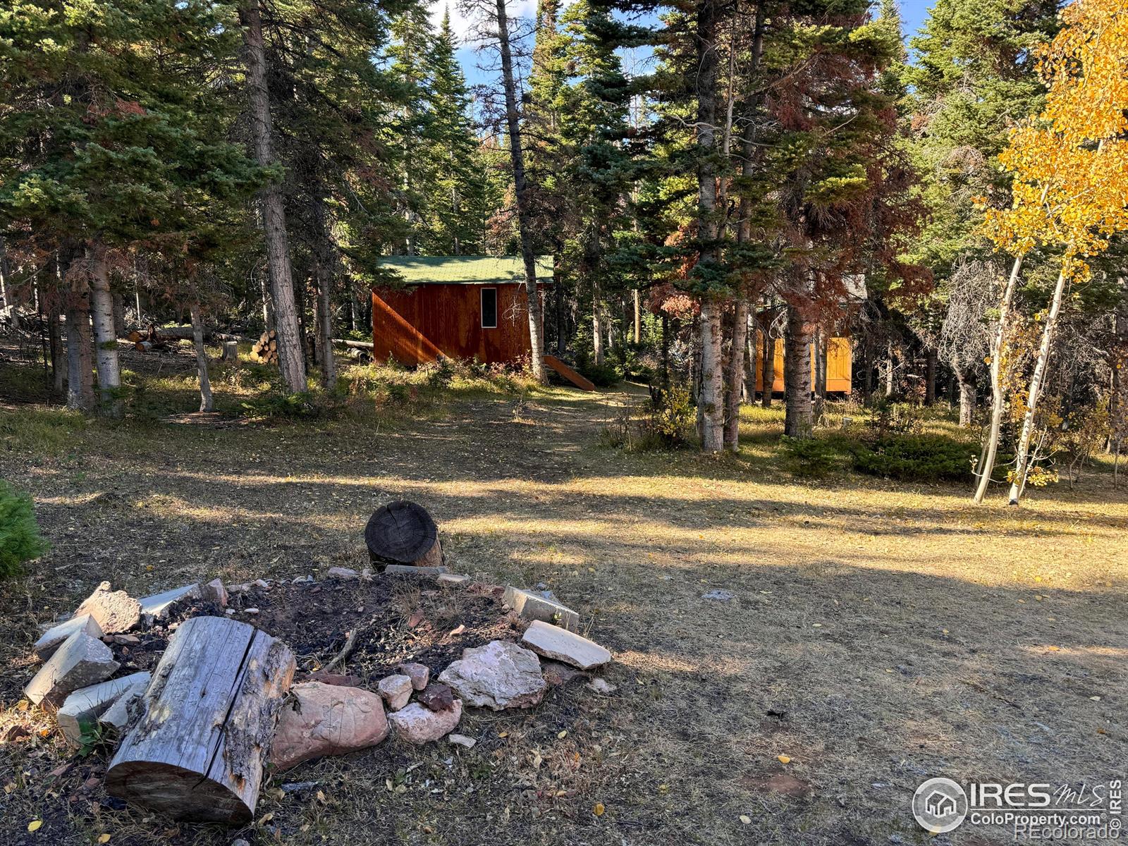 MLS Image #23 for 235  forb lane,red feather lakes, Colorado